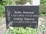 Ludvig Hansen.jpg